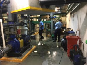 King Street Wharf Pro Point Group Plumbing Sydney